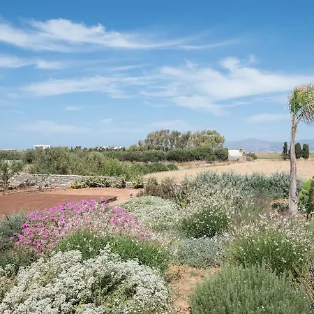 Villa Klar, On The Outskirts Of , Paros